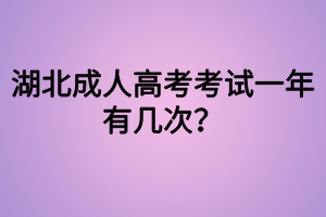 湖北成人高考考試一年有幾次？