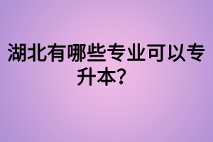 湖北有哪些專業(yè)可以專升本？