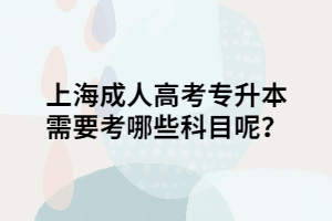 上海成人高考專升本需要考哪些科目呢？