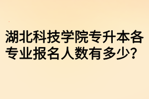 湖北科技學(xué)院專升本各專業(yè)報(bào)名人數(shù)有多少？