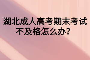 湖北成人高考期末考試不及格怎么辦？