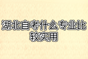 湖北自考什么專業(yè)比較實(shí)用