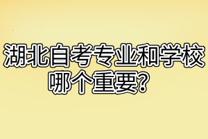 湖北自考專業(yè)和學(xué)校哪個重要？