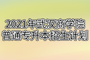 2021年武漢商學(xué)院普通專升本招生計(jì)劃