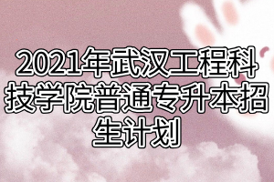 2021年武漢工程科技學(xué)院普通專(zhuān)升本招生計(jì)劃