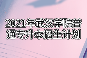 2021年武漢學(xué)院普通專升本招生計(jì)劃