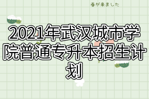 2021年武漢城市學(xué)院普通專(zhuān)升本招生計(jì)劃