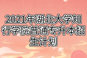 2021年湖北大學知行學院普通專升本招生計劃