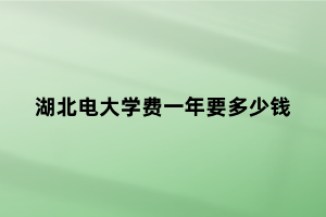 湖北電大學(xué)費一年要多少錢