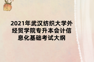 2021年武漢紡織大學(xué)外經(jīng)貿(mào)學(xué)院專升本會(huì)計(jì)信息化基礎(chǔ)考試大綱