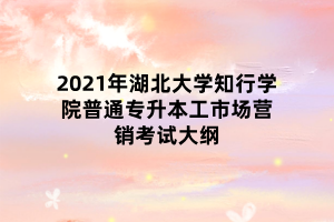 2021年湖北大學(xué)知行學(xué)院普通專(zhuān)升本工市場(chǎng)營(yíng)銷(xiāo)考試大綱