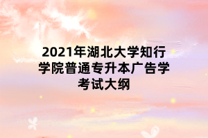 2021年湖北大學(xué)知行學(xué)院普通專(zhuān)升本廣告學(xué)考試大綱