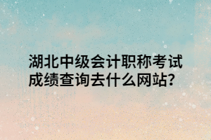 湖北中級會計職稱考試成績查詢?nèi)ナ裁淳W(wǎng)站？