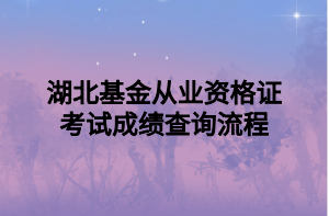 湖北基金從業(yè)資格證考試成績(jī)查詢流程