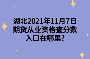 湖北2021年11月7日期貨從業(yè)資格查分?jǐn)?shù)入口在哪里_