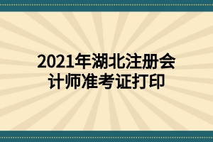 2021年湖北注冊會計師準考證打印