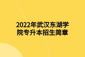 2022年武漢東湖學院專升本招生簡章