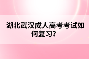 湖北武漢成人高考考試如何復習？