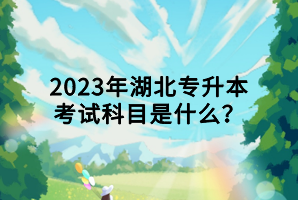 2023年湖北專升本考試科目是什么？